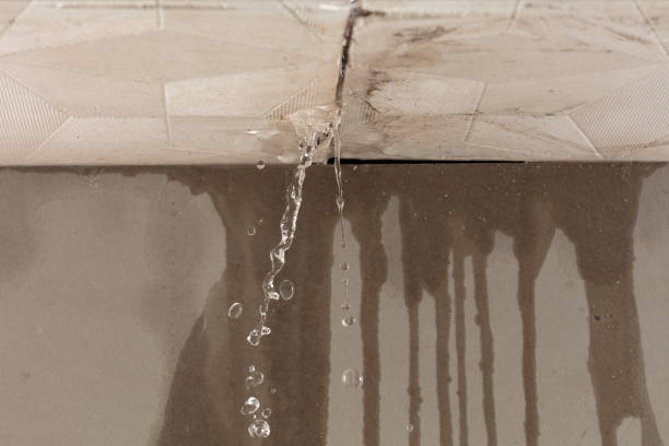 Professional Structural Drying technician working in Wellington, AL